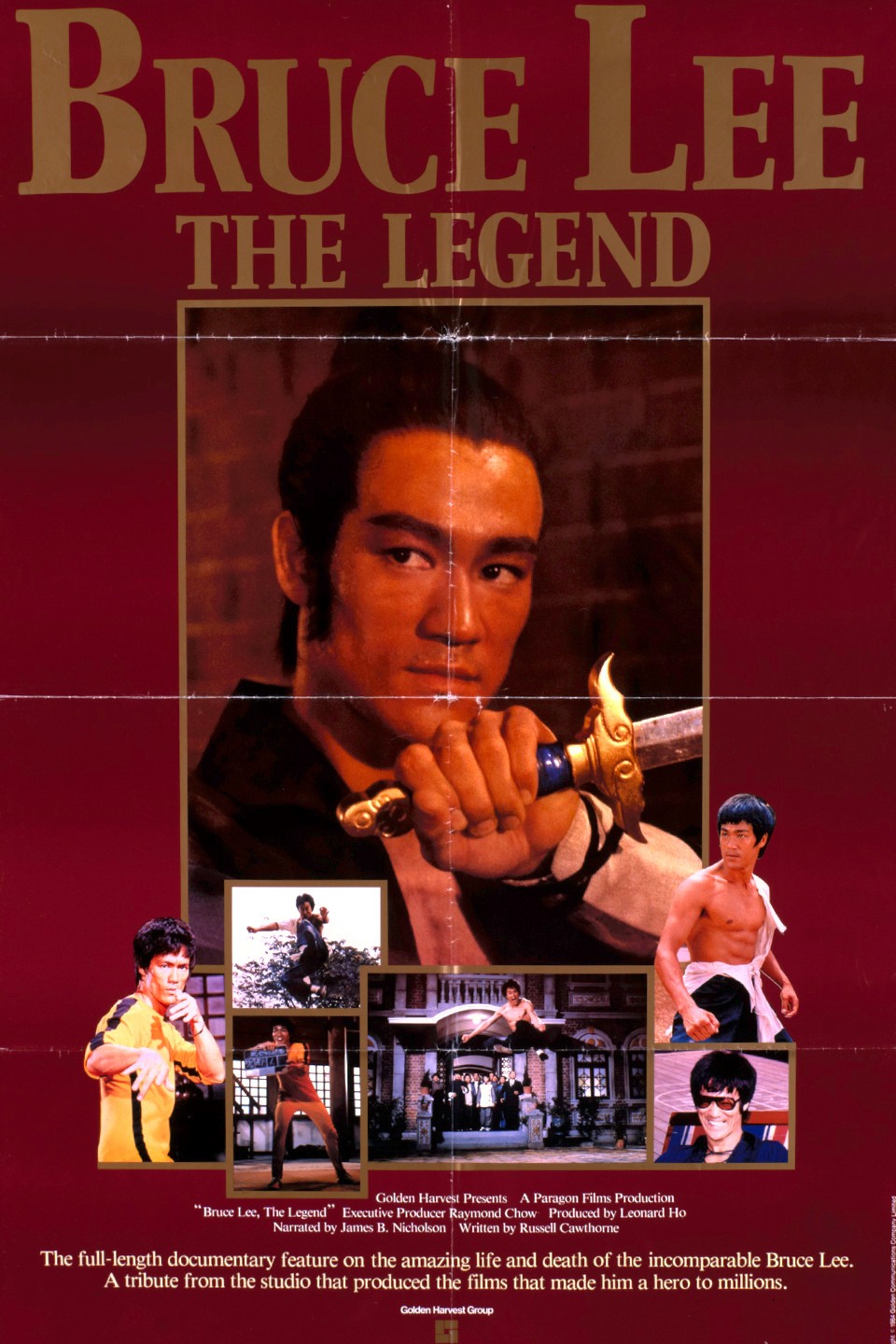 the legend of bruce lee movie